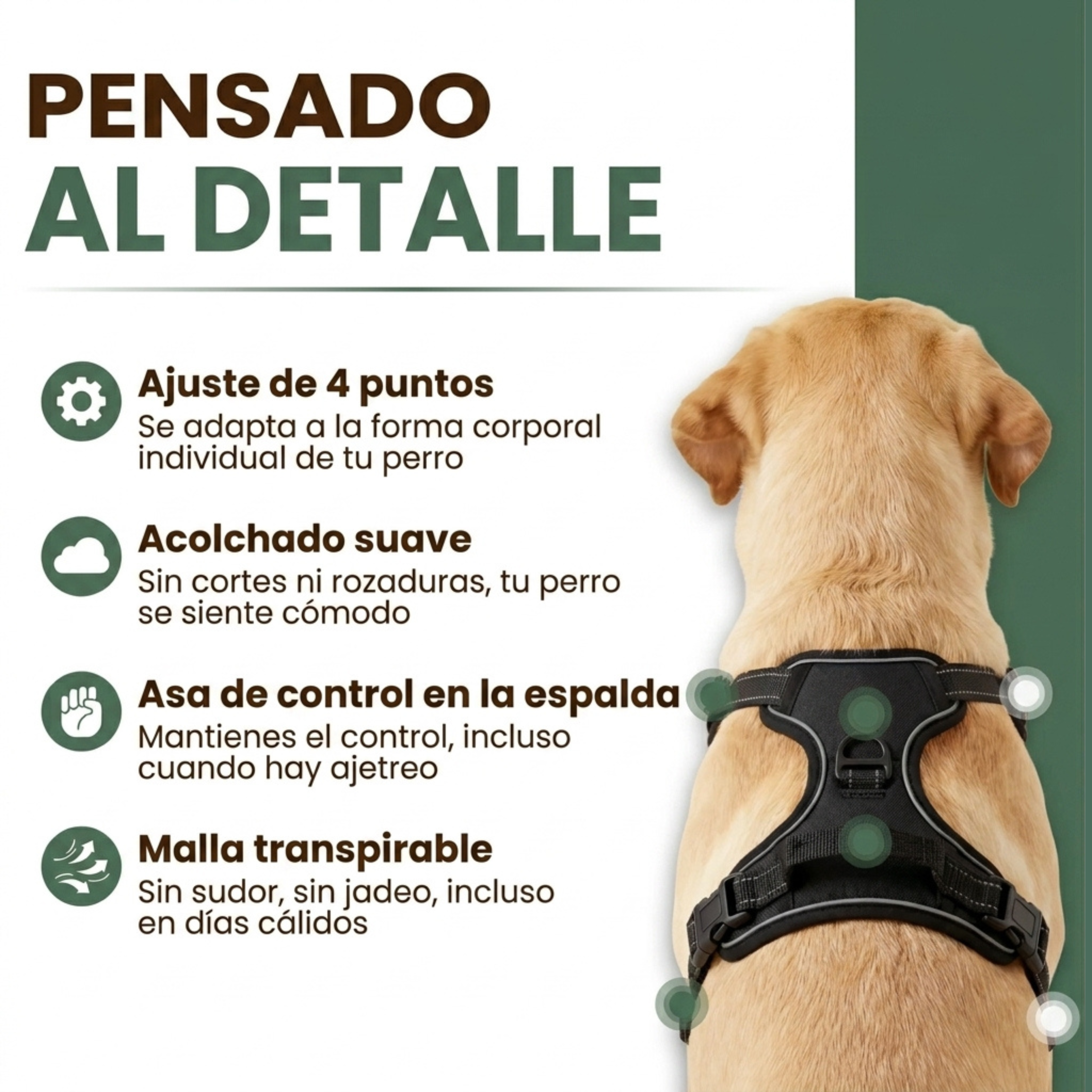 Arnés Antitirones para Perros