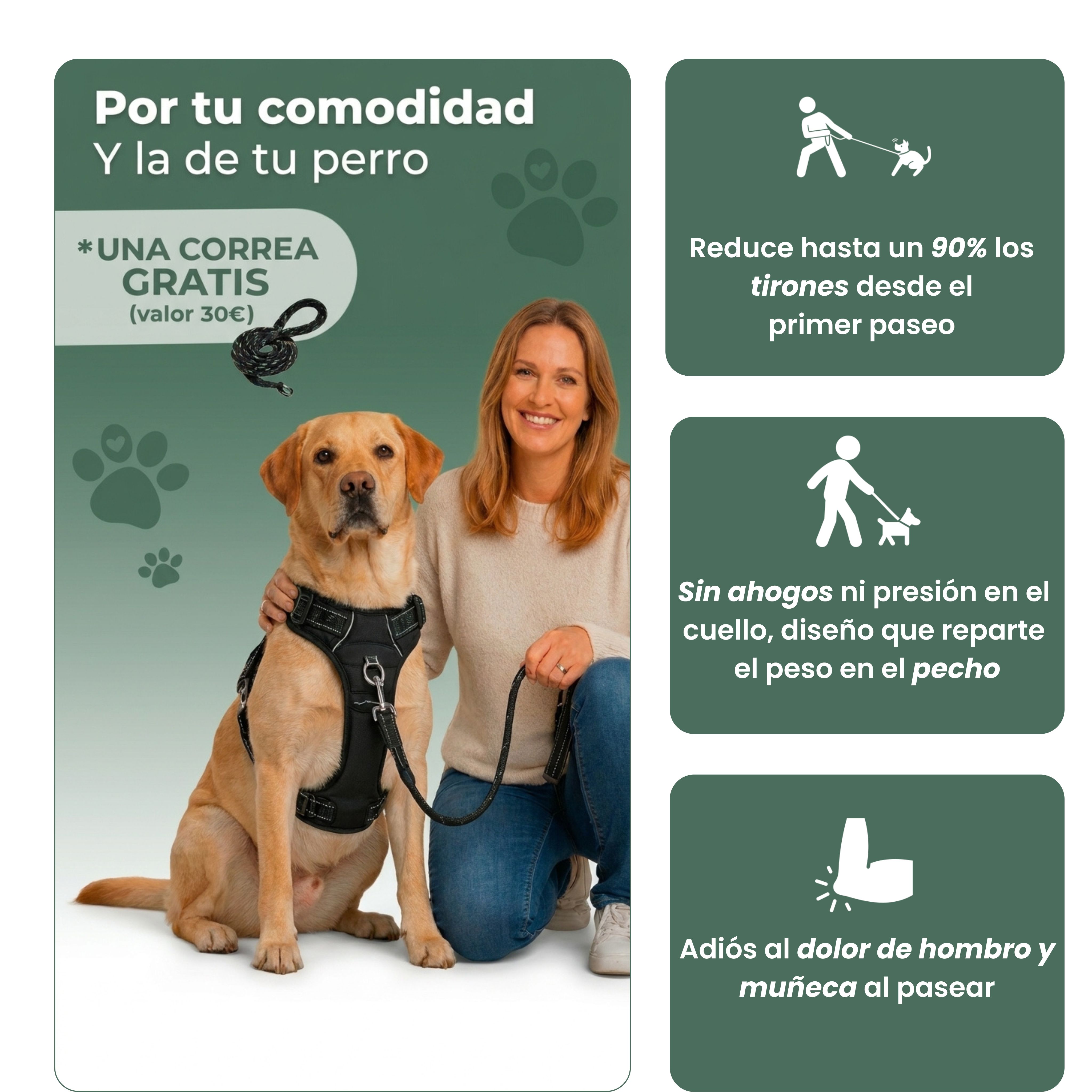 Arnés Antitirones para Perros