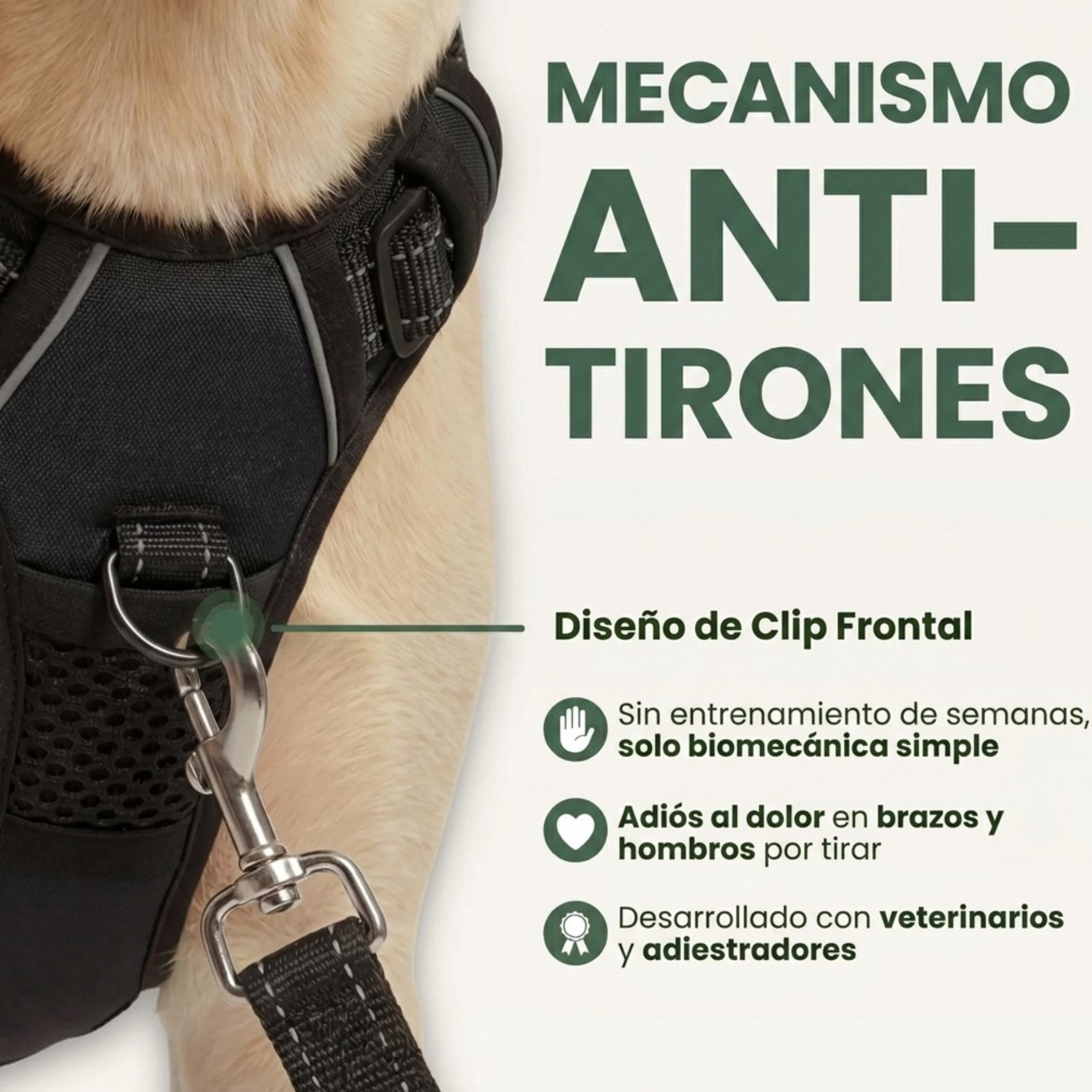Arnés Antitirones para Perros