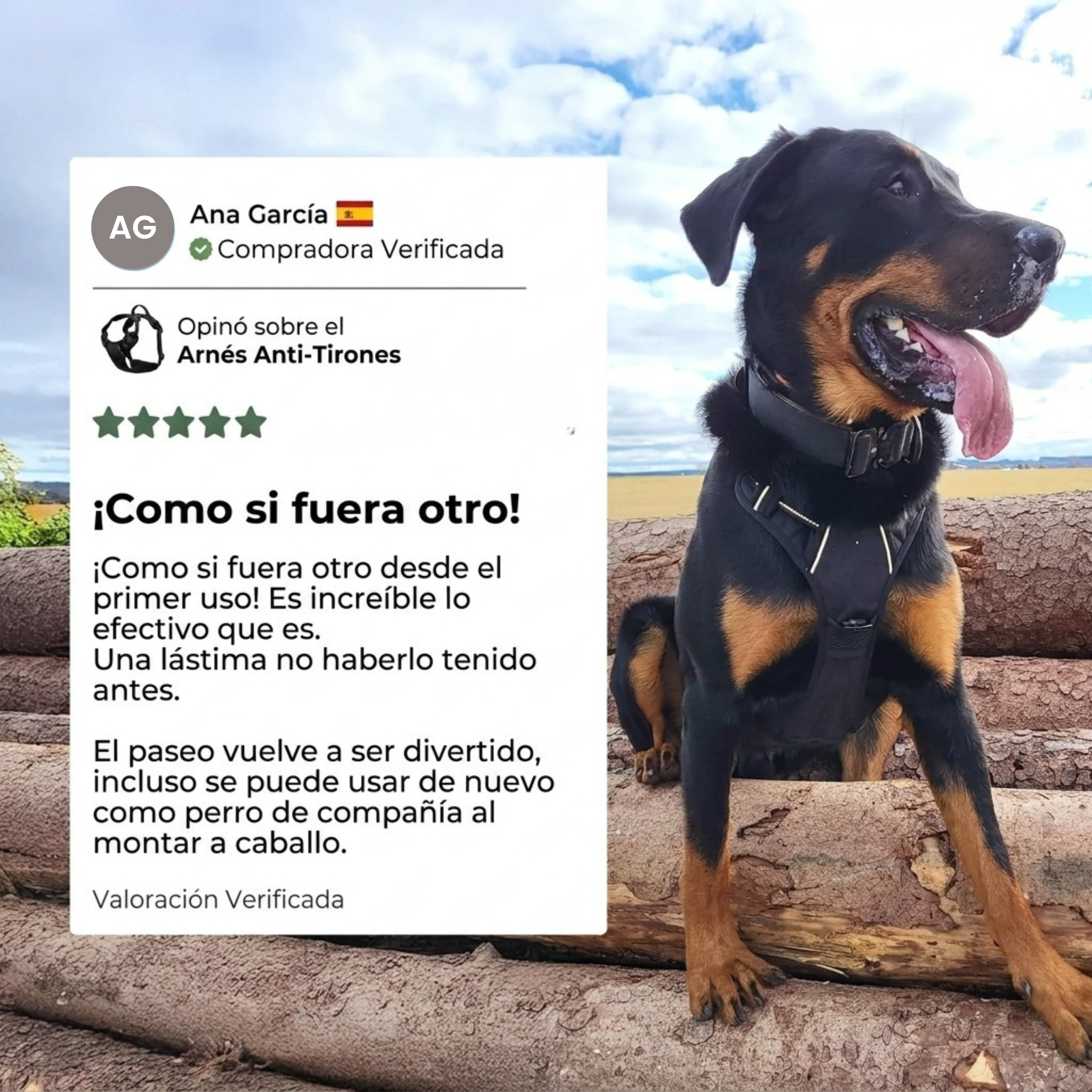 Arnés Antitirones para Perros